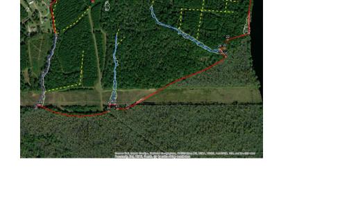 Photo #6 of TBD Old Bucksville Rd., Conway, SC 160.0 acres