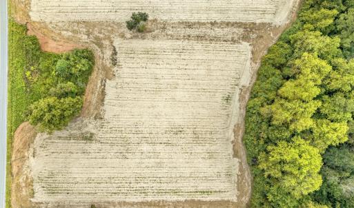 Photo #15 of 9741 Highway 19, Loris, SC 3.9 acres