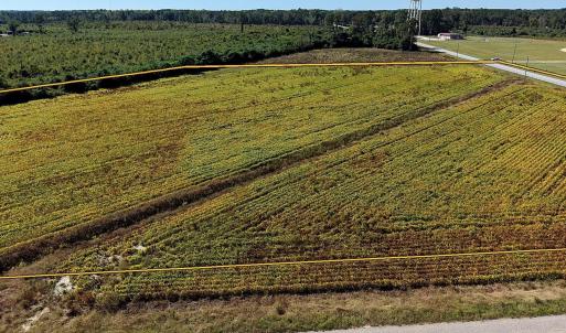 Photo #14 of TBD McCormick Rd., Hamer, SC 7.7 acres