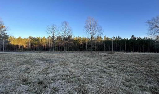 Photo #4 of 9207 County Line Rd., Nesmith, SC 3.7 acres