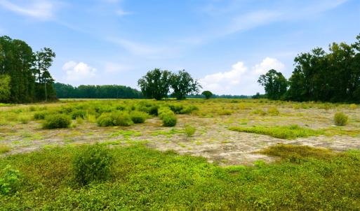 Photo #8 of Lot 1 Middle Rd., Nichols, SC 2.4 acres