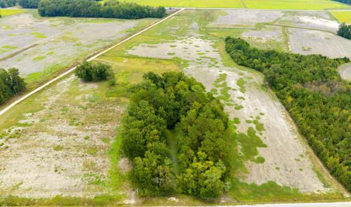Photo #6 of Lot 1 Middle Rd., Nichols, SC 2.4 acres
