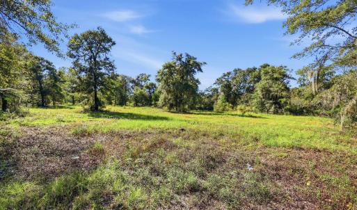 Photo #5 of TBD Reds Landing Rd., Andrews, SC 20.4 acres
