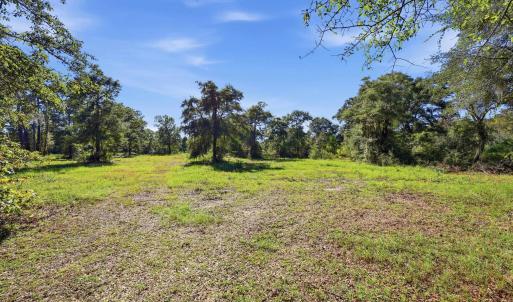 Photo #4 of TBD Reds Landing Rd., Andrews, SC 20.4 acres