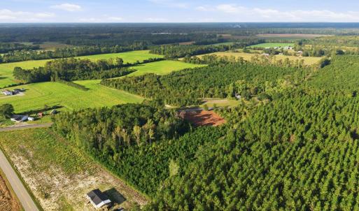 Photo #8 of TBD Hubert Baxley Rd, Mullins, SC 4.6 acres