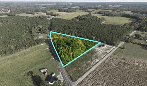 Photo #9 of TBD Hubert Baxley Rd, Mullins, SC 4.6 acres
