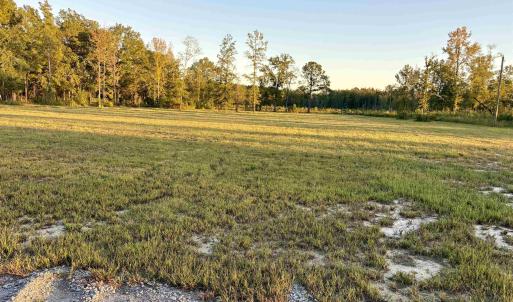 Photo #5 of 2710 Holly Rd., Marion, SC 10.0 acres