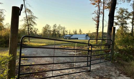 Photo #4 of 2710 Holly Rd., Marion, SC 10.0 acres