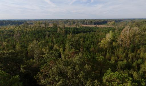 Photo #3 of TBD Terrell's Bay Rd., Marion, SC 165.0 acres