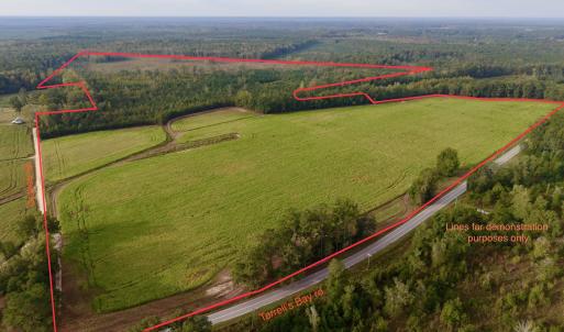 Photo #1 of TBD Terrell's Bay Rd., Marion, SC 165.0 acres