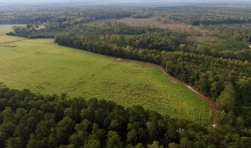 Photo #2 of TBD Terrell's Bay Rd., Marion, SC 165.0 acres