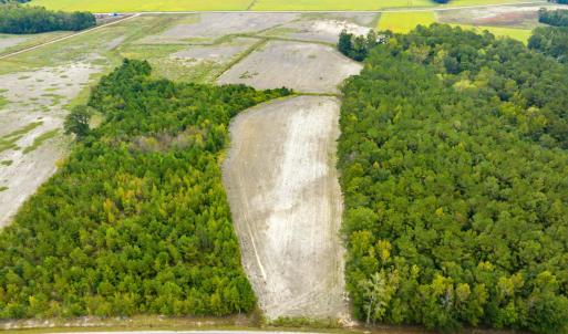 Photo #4 of Lot 4 Middle Rd., Nichols, SC 2.4 acres