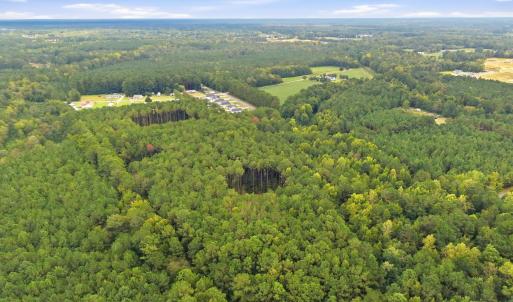 Photo #9 of Lot 3 Daphane Dr., Loris, SC 9.5 acres