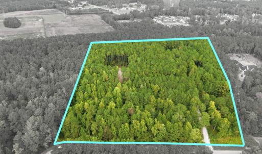 Photo #4 of Lot 3 Daphane Dr., Loris, SC 9.5 acres