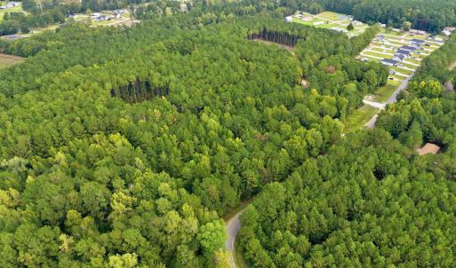 Photo #8 of Lot 3 Daphane Dr., Loris, SC 9.5 acres