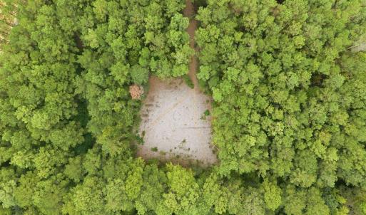 Photo #7 of Lot 3 Daphane Dr., Loris, SC 9.5 acres