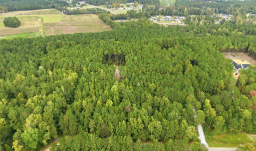 Photo #5 of Lot 3 Daphane Dr., Loris, SC 9.5 acres