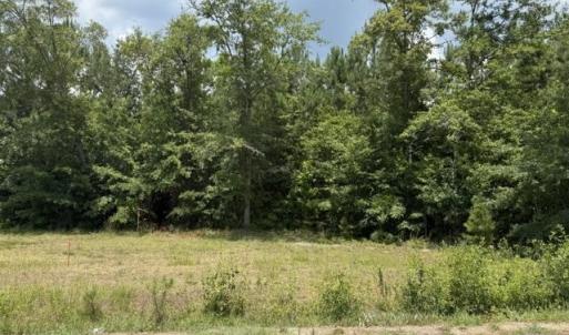 Photo #2 of 2.0 Acs Cohen Dr., Georgetown, SC 2.0 acres