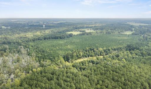 Photo #8 of TBA Bill Hooks Rd., Whiteville, NC 39.1 acres
