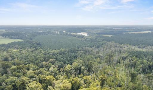 Photo #10 of TBA Bill Hooks Rd., Whiteville, NC 39.1 acres