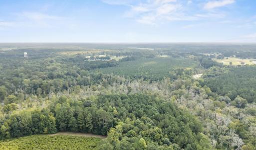 Photo #9 of TBA Bill Hooks Rd., Whiteville, NC 39.1 acres
