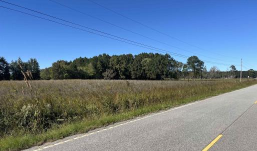 Photo #2 of Screwpin Rd, Blenheim, SC 83.4 acres