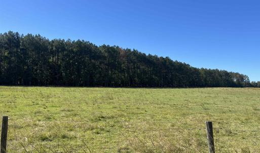 Photo #5 of Screwpin Rd, Blenheim, SC 83.4 acres