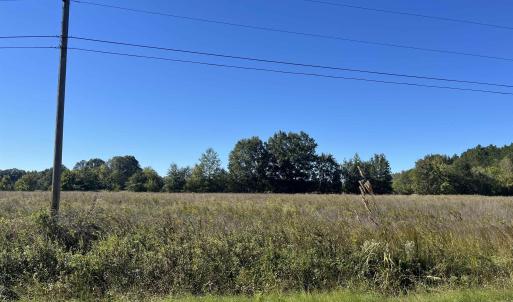 Photo #1 of Screwpin Rd, Blenheim, SC 83.4 acres