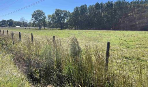 Photo #7 of Screwpin Rd, Blenheim, SC 83.4 acres