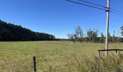 Photo #6 of Screwpin Rd, Blenheim, SC 83.4 acres