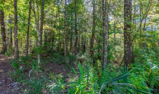 Photo #17 of TBD Barnes Rd., Andrews, SC 1.0 acres