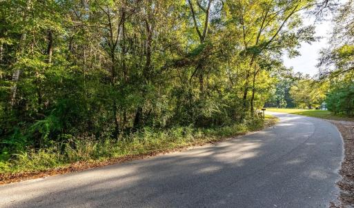 Photo #13 of TBD Barnes Rd., Andrews, SC 1.0 acres