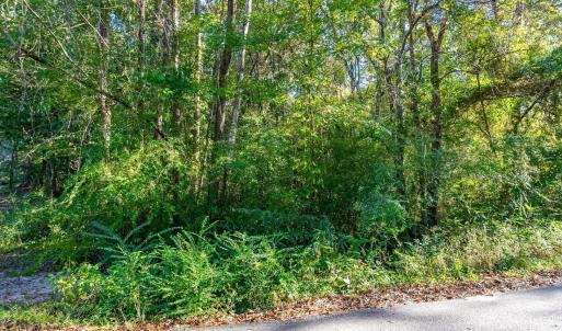 Photo #12 of TBD Barnes Rd., Andrews, SC 1.0 acres