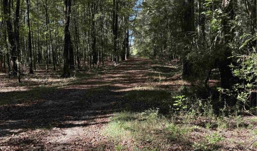 Photo #6 of  228.8 acres