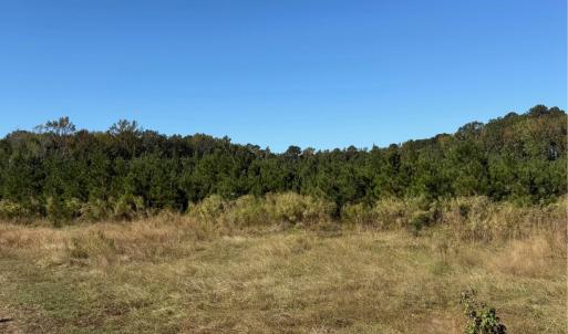 Photo #4 of  228.8 acres