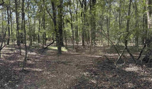 Photo #10 of  228.8 acres