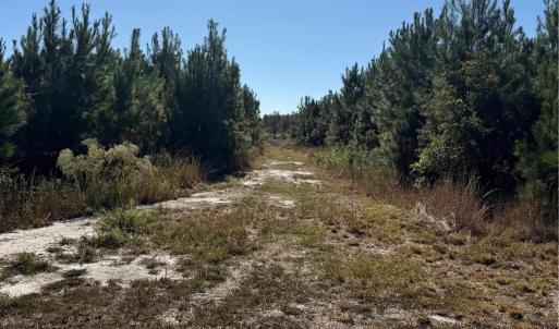 Photo #5 of  228.8 acres