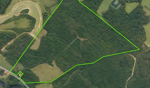 Photo #1 of  228.8 acres