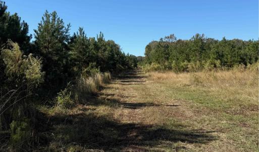 Photo #11 of  228.8 acres