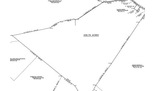 Photo #13 of  228.8 acres