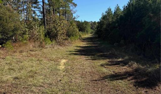 Photo #12 of  228.8 acres