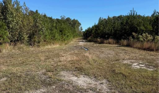 Photo #7 of  228.8 acres