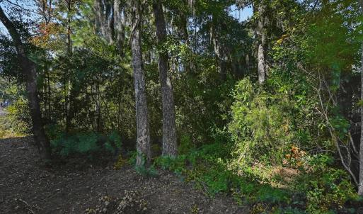 Photo #9 of 117 Seagrass Ct., Pawleys Island, SC 0.3 acres