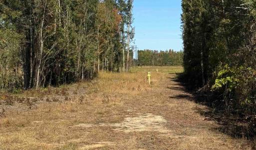 Photo #6 of TBD Methodist Church Rd., Marion, SC 30.0 acres