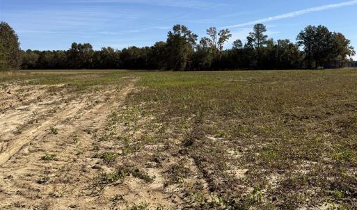 Photo #8 of TBD Methodist Church Rd., Marion, SC 30.0 acres