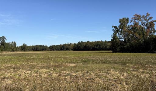 Photo #2 of TBD Methodist Church Rd., Marion, SC 30.0 acres