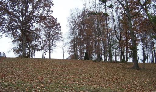 Photo #11 of 417 Country Estates Road, Appomattox, VA 60.0 acres