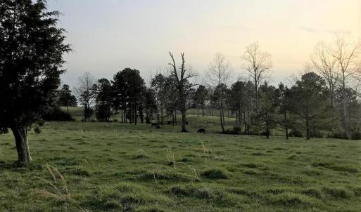 Photo #30 of 417 Country Estates Road, Appomattox, VA 60.0 acres