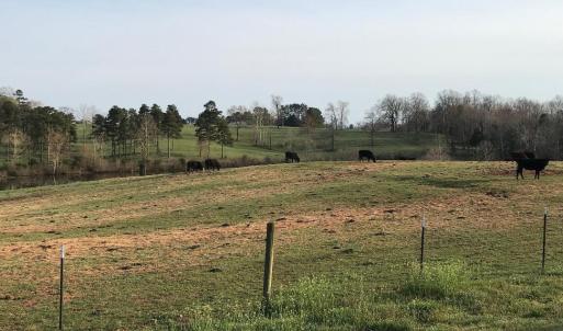 Photo #16 of 417 Country Estates Road, Appomattox, VA 60.0 acres