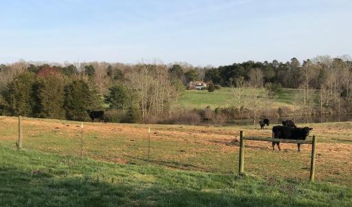 Photo #15 of 417 Country Estates Road, Appomattox, VA 60.0 acres